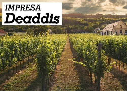 Impresa Deaddis | Portfolio PramaWeb