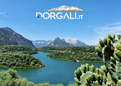 Dorgali-PramaWeb-Portfolio